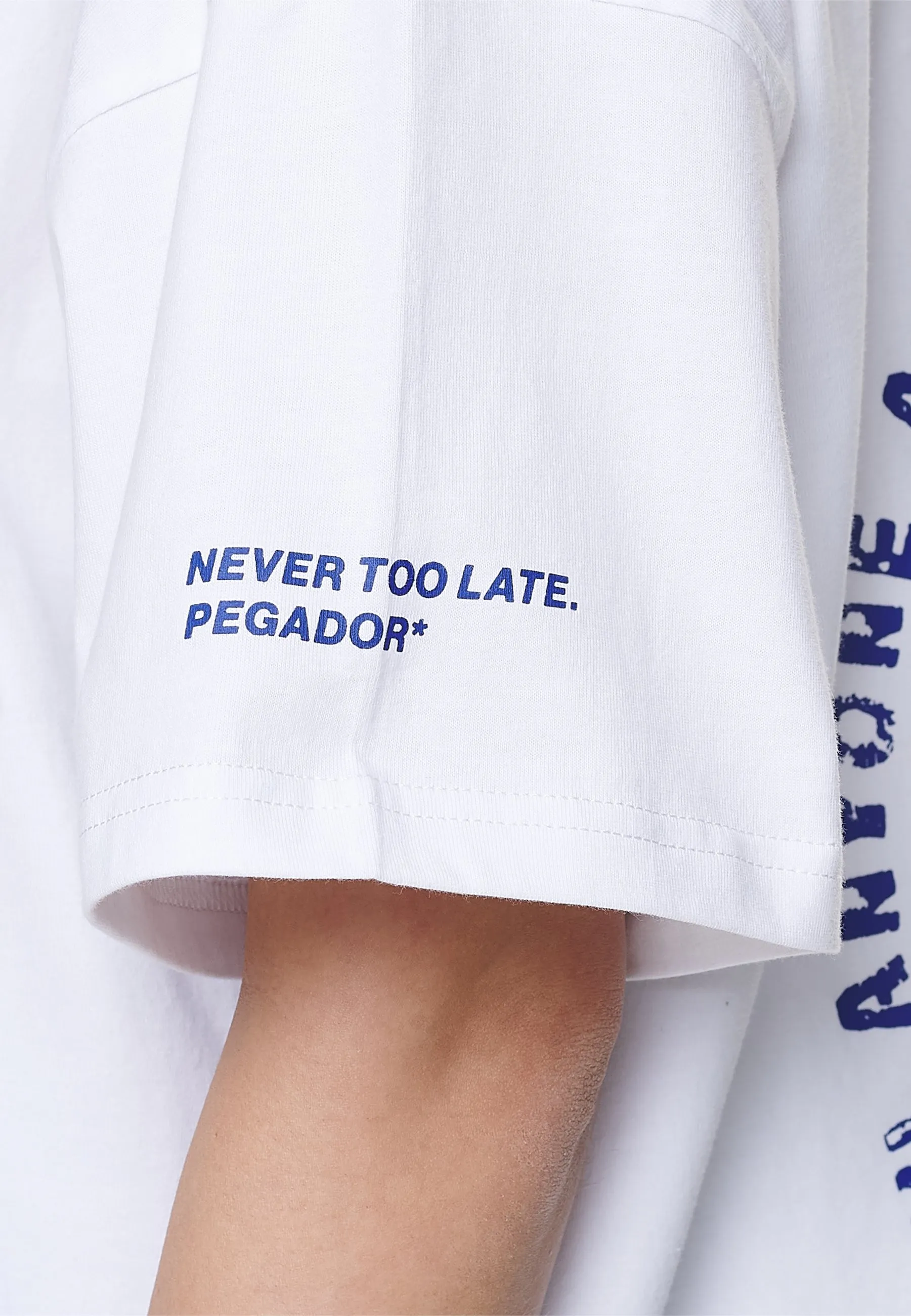 PALMYRA HEAVY OVERSIZED TEE - T-shirt con stampa